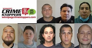 Winnipeg Police pilot project on domestic calls