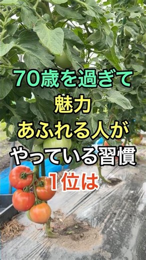 ㊗️100K Views🎊 The #1 Habit of Charismatic People Over 70 #GoodFortune #Trivia #Wisdom #Quotes #Re...