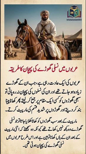 The Secret Method: How Arabs Identified Purebred Horses 🐎