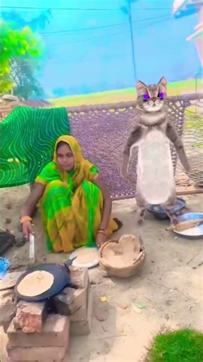 बिल्ली की दादी कहां चली गई #cat #funny 😽😽😾😾🥹🥹🤣♥️