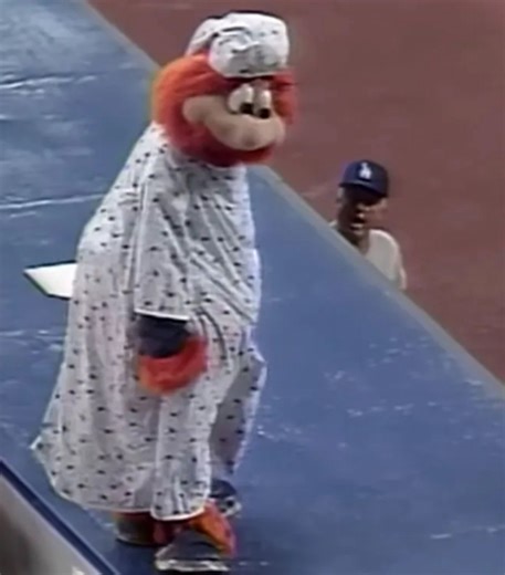 The Night Baseball Stood Still: A 22-Inning Epic #long #baseball #game #mascot #story #Info | Ricktalksbaseball