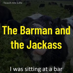 The Barman and the Jackass | Teach Me Life