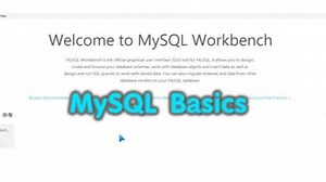 【Alex The Analyst】MySQL Basics Tutorial Series 2023
