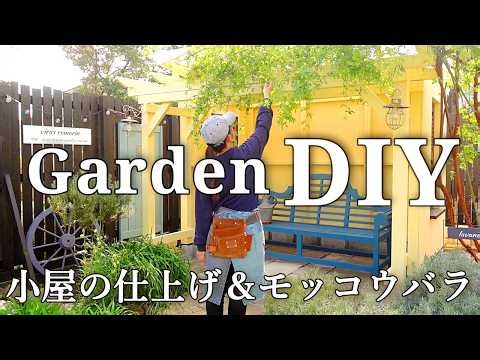 DIY Garden Shed #4 | Finishing the Roof & Training a Lady Banks’ Rose