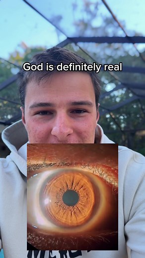 Exploring Belief in God: Perspectives and Insights