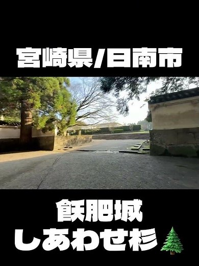 【飫肥城】しあわせ杉 #歴史探訪 #城巡り #宮崎県 #日南市 #飫肥城 #100名城 #miyazaki #obi #宮崎 #飫肥