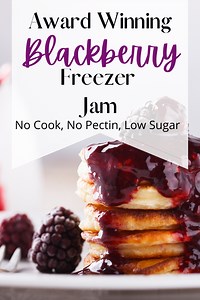 Low Sugar Blackberry Freezer Jam Without Pectin!