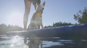 576K views · 146 reactions | As if things couldn't get any better - we're open evenings AND weekends! | Banfield Pet Hospital | Facebook