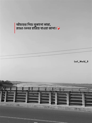 আঁচড়ের নিচে লুকানো কান্না, রঙের ভেতর হারিয়ে যাওয়া জানা।❤️‍🩹 #lost_world_0