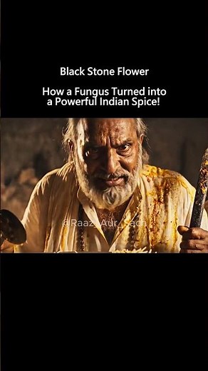 Black Stone Flower: The Fungus That Became an Indian Spice! #BlackStoneFlower #DagadPhool