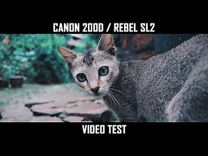 Canon 200D / Rebel SL2 Video Test