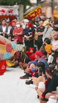 令和七年御坊祭宵宮【上組・獅子舞】#和歌山県#御坊市#御坊祭#獅子舞#秋祭り
