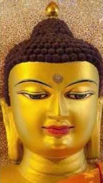 Namo buddhaye #motivation