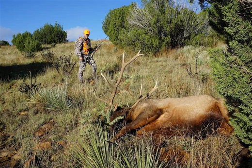 8 Great Elk-Killing Calibers You Can Depend On - Game & Fish
