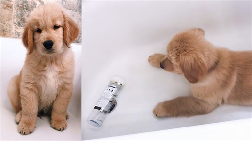 When shampoo becomes the enemy