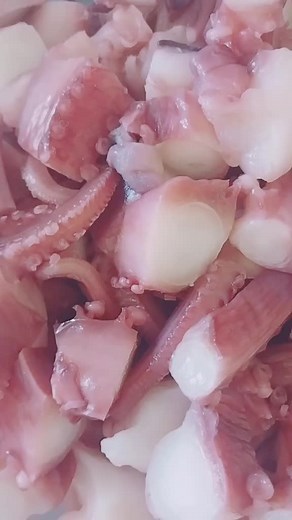 Close-Up View of Moving Octopus Tentacles