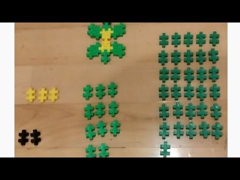 Building A Turtle! #plusplus Tutorial