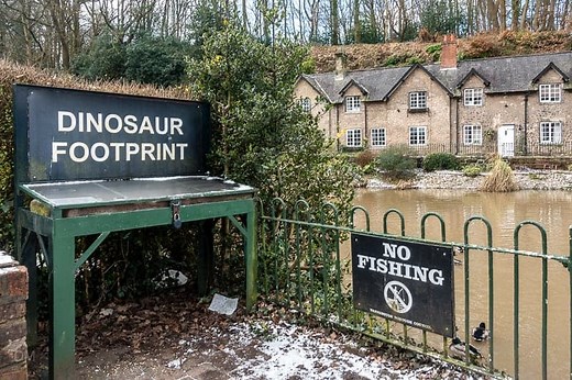 Lymm Walk - Easy Walk Around Lymm Dam - Route, Photos, Video