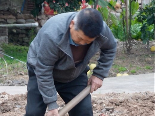 【cubey-D】最新视频已上线，快来围观！