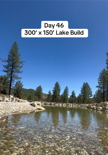 Natural Pool Construction Update: Day 46 Progress