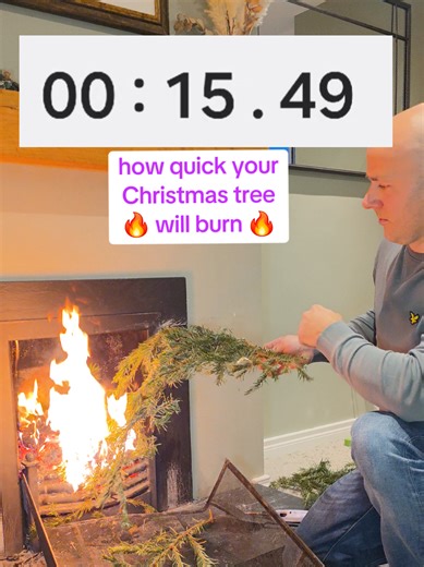 Ensure Christmas Tree Safety: Watering Tips