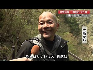 Niyodo Blue "Nikobuchi" New Stairs Make It Safe