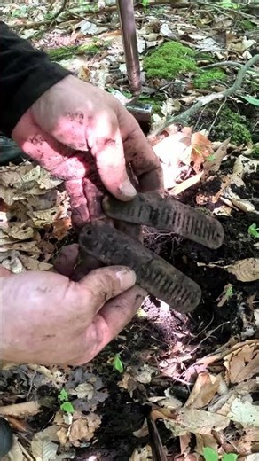 Metal Detecting Harmonica Reed 1800 Coins Relics Old Toys Farm Western NY #metaldetecting #shorts