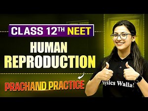 Human Reproduction PYQ's Video Solution | PRACHAND Practice Series | NEET 2025