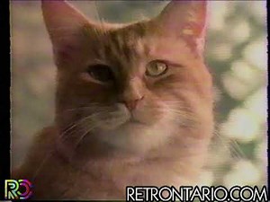 9 Lives Morris the Cat (1985)