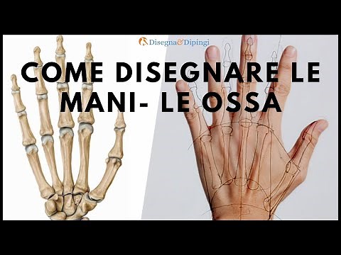 Come disegnare le mani - struttura ossea
