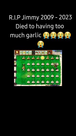 #pvz#memes#explosions#pvzgarlic