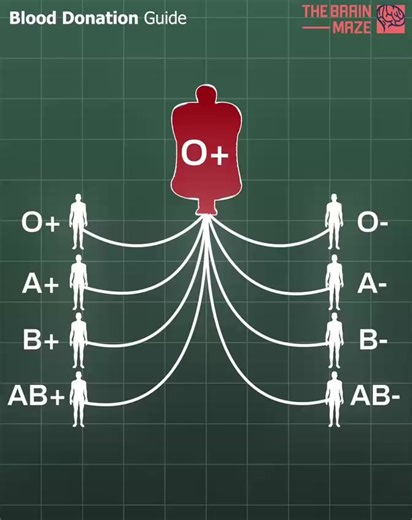 🩸 Blood Donation Guide — Know Your Type, Save a Life Understanding which blood types can donate to and receive from others is essential. Whether you're O-, AB , or anywhere in between, this quick visual guide helps make compatibility simple and clear. One donation can make all the difference. ❤️ #BloodDonation #SaveLives #HealthAwareness #MedicalFacts #DonateBlood