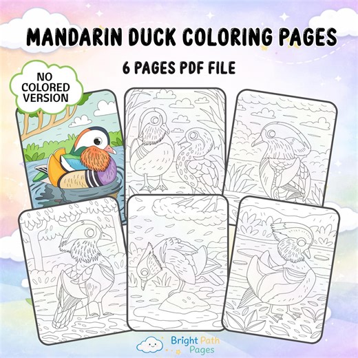 Mandarin Duck Coloring Pages | Water Bird Designs for Kids, Adults (PDF Pattern) - Etsy