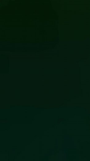 Elegant Traditional Attire: Green Saree with Red Blouse