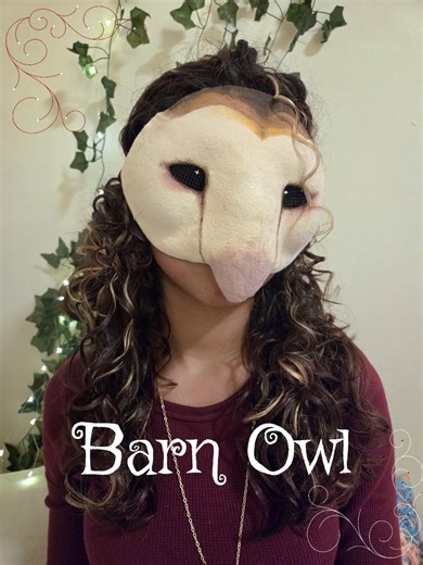 Barn Owl Therian Mask Handmade | Bird Mask, Cosplay, LARP Costume, Animal Mask, Quadrobics Gear, Truly Unique, One-of-a-kind, Comfy, Cute - Etsy