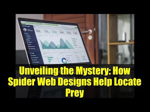 Unveiling the Mystery: How Spider Web Designs Help Locate Prey