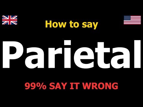 How to PRONOUNCE Parietal (Say It Correctly)