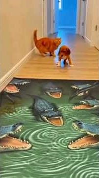 You Won’t Last 5 Seconds 😂 Animal Fails Gone Wrong #shorts #funny #pets #chihuahua