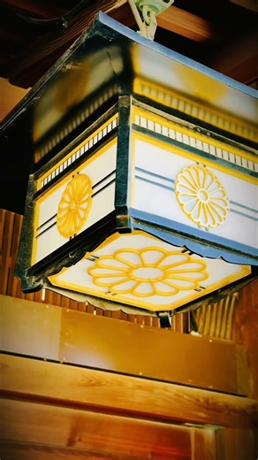 【明治神宮】東京都渋谷区代々木神園町1-1いつか妻とも一緒に歩きたい東京の景色です。あなたは誰とこの森を歩きたいですか？次の行き先を一緒に探しましょう✈️#明治神宮 #東京スポット #都会のオ