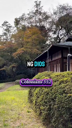 Colossians 3:12-15 #jesuschrist #bibleverse #salvation #jesussaves #faith #christianity #gospel #Godisgood #motivation #Hope #Love #God #highlights | Himig ng Kaligtasan
