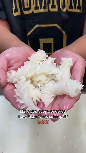 Squid vs Calamari: Cooking and Cutting Techniques Revealed