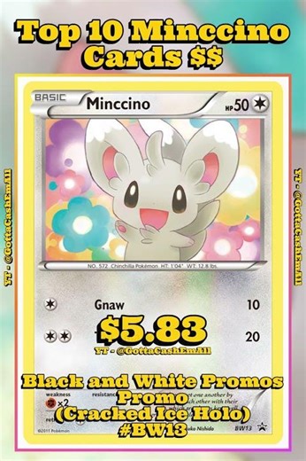✨ Top 10 Rarest Minccino Pokémon Cards! #pokemon #pokemoncards #pokémon #top10 #pokemontcg #tcg