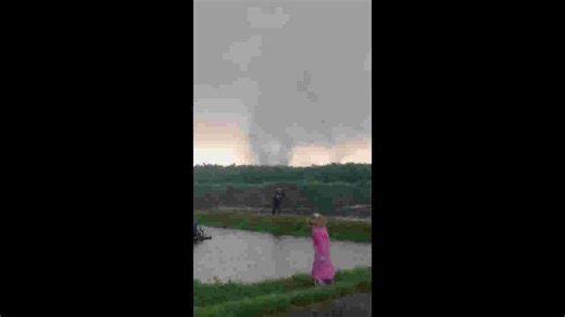 Fish farmers flee as tornado tears through ponds in China