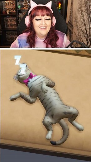 Cats & Dogs in The Sims 4… 🐾 #thesims #thesims4 #sims #sims4 #sims4gameplay #simsgameplay