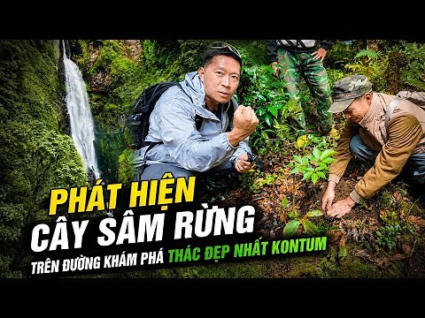 The arduous trek to the majestic waterfall in the Ngoc Linh mountains