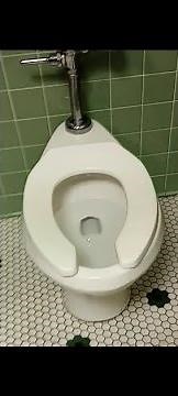 Bathroom Tour: 2010's Proflo Urinal and 1990's American Standard Madera Toilets at a Restaurant