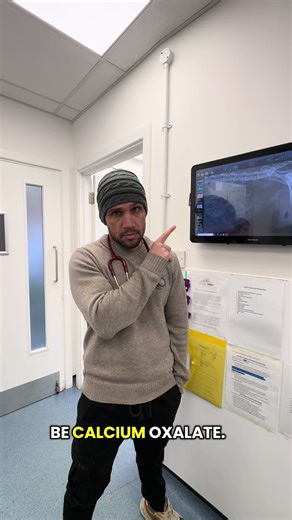 Cat with bladder stones #vetnurse #vettech #vettechlife #veterinaria #veterinarian