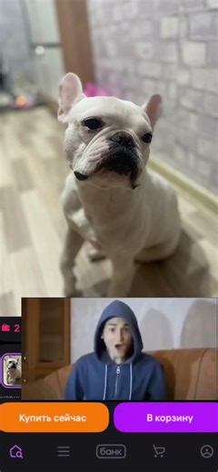 9 апреля 2026 г.