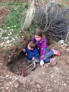 Collecting fossils with your kids in Fossil, Oregon