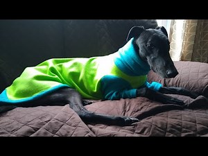 DIY Fleece Dog Pyjamas Part 2 : Using a PDF Pattern